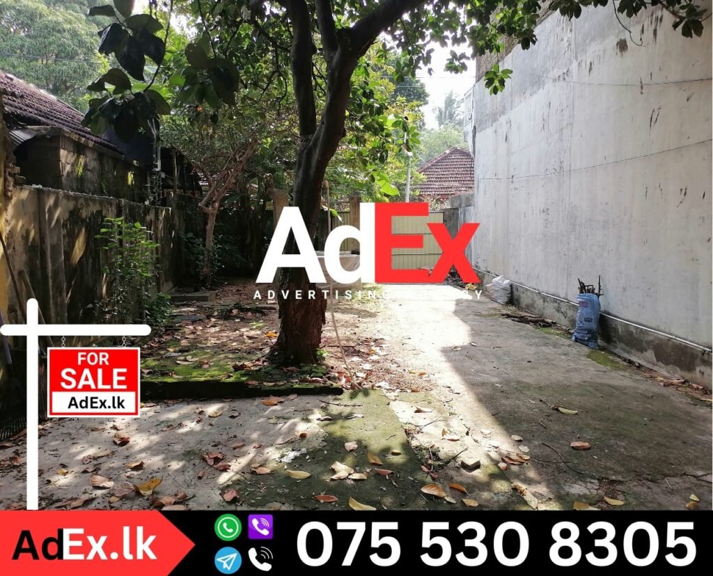 Buy House in Batticaloa Town