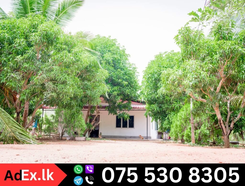 Farm Land for Sale in Batticaloa Sathurukondan