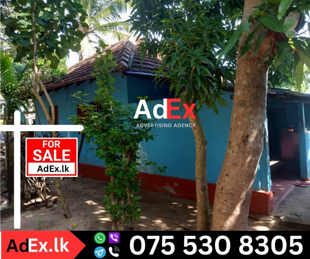 House Sale Sathurukondan