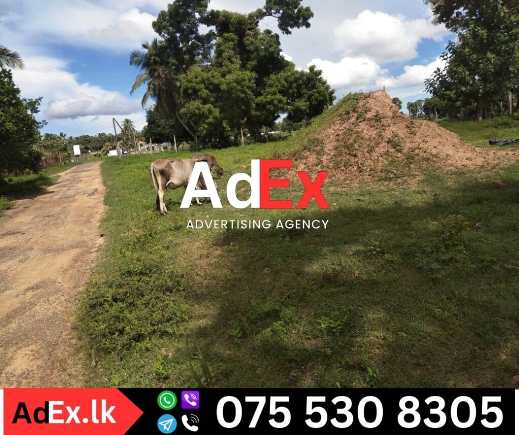 Land for Sale in Ilupadichenai Batticaloa
