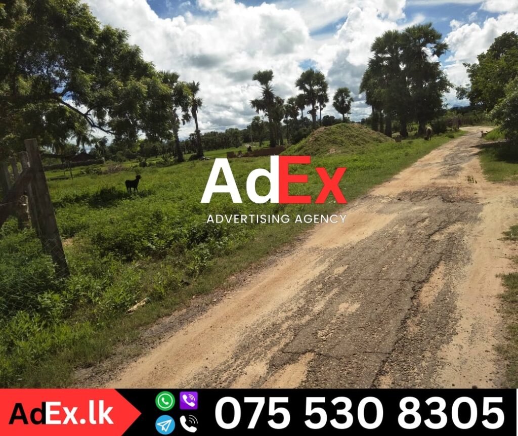 Ilupadichenai Batticaloa Land Sale