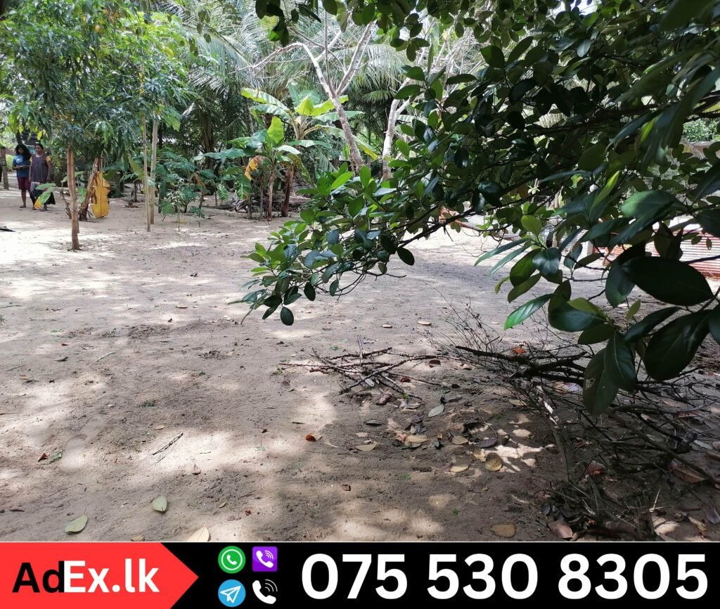 Kallady Land Sale