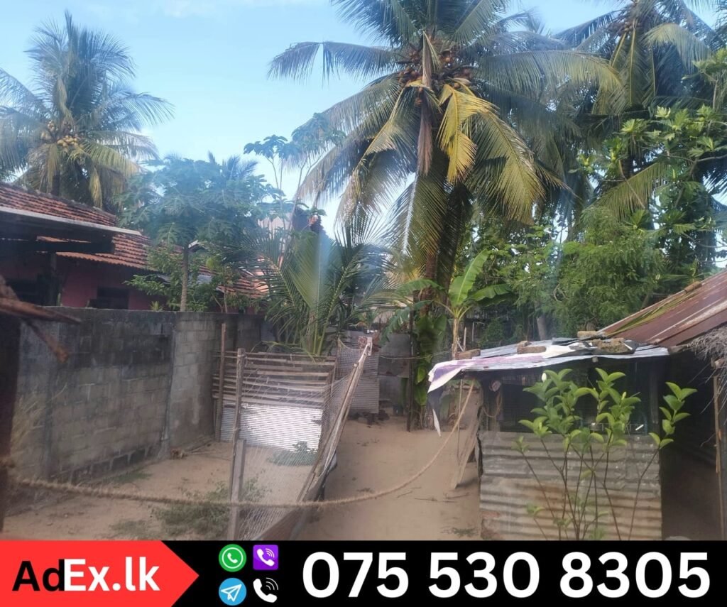 Karuvappankerny Land Sale