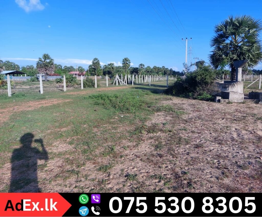 Land Sale Karuvepankerni