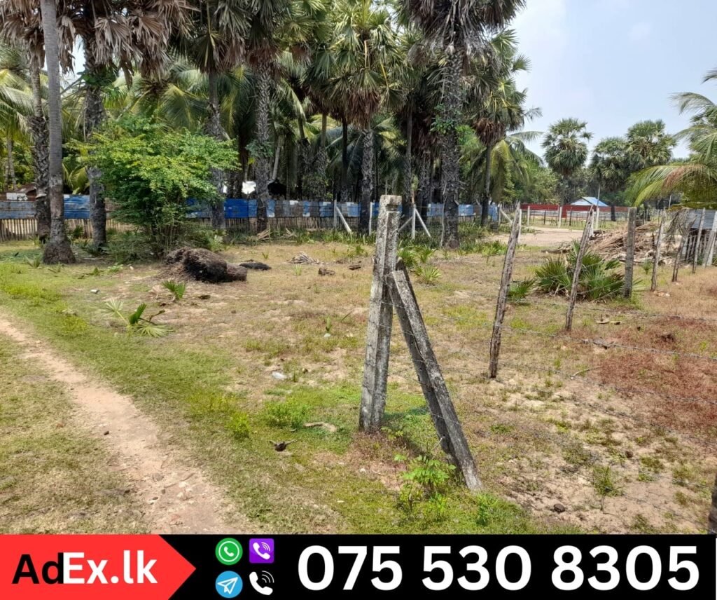 Land for Sale in Karuvepankerni Batticaloa (10 Perches)