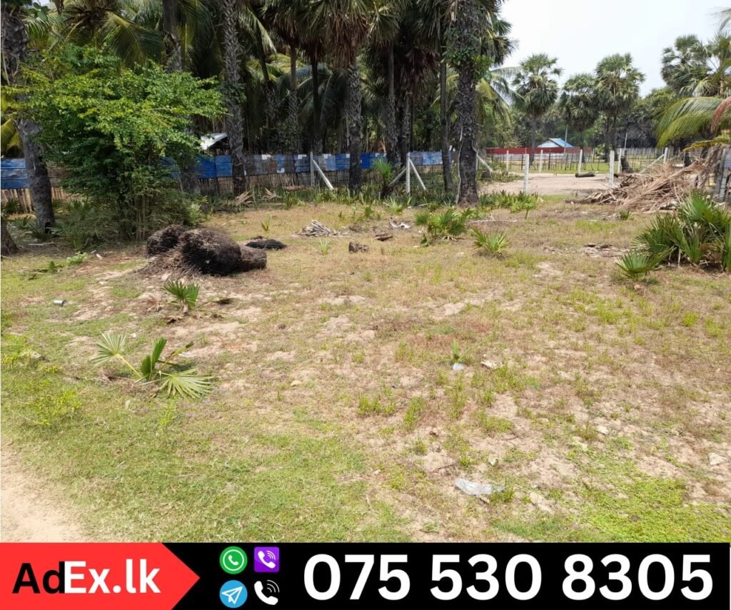 Land for Sale in Karuvepankerni Batticaloa (10 Perches)