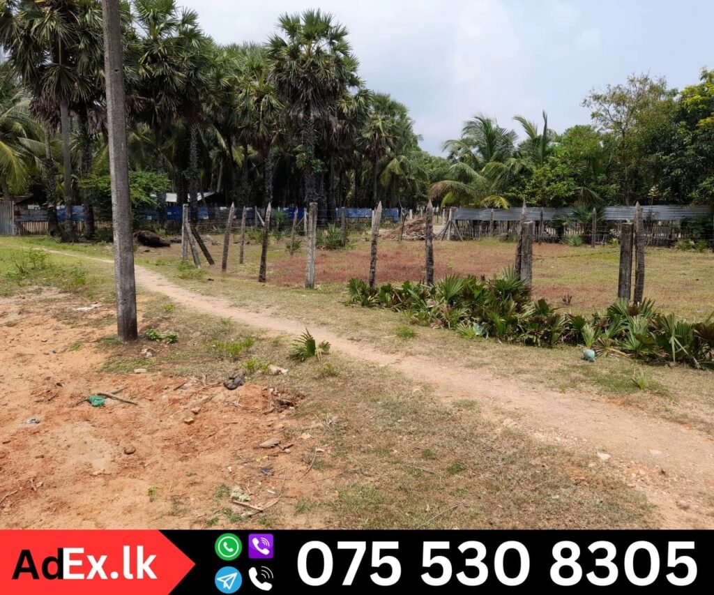 Land for Sale in Batticaloa Town