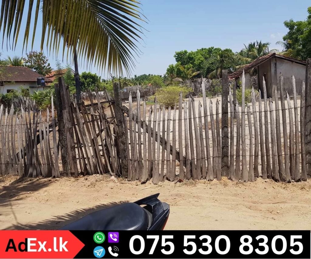 Land for Sale in Sinna Urani Navarkeny Batticaloa