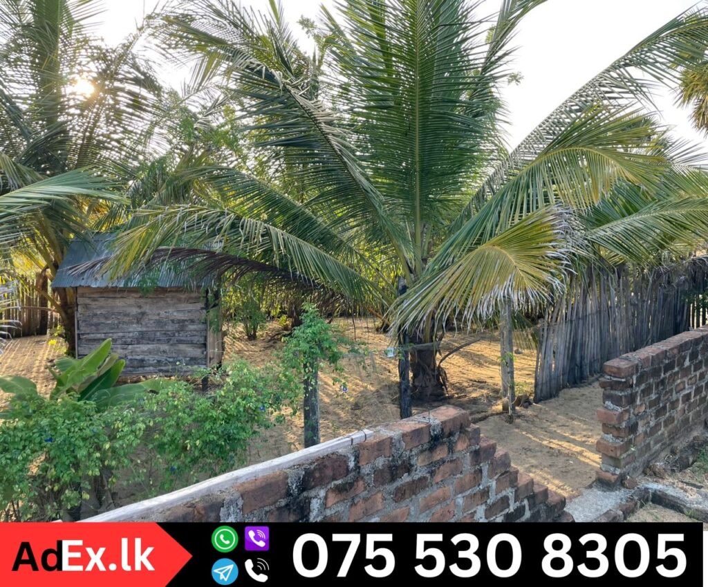 House Sale Thiraimadu