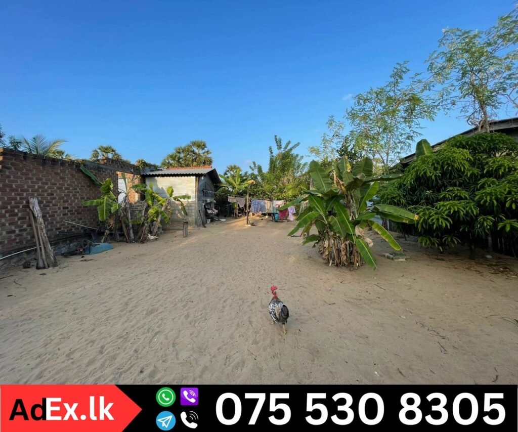 Partly Build House Sale