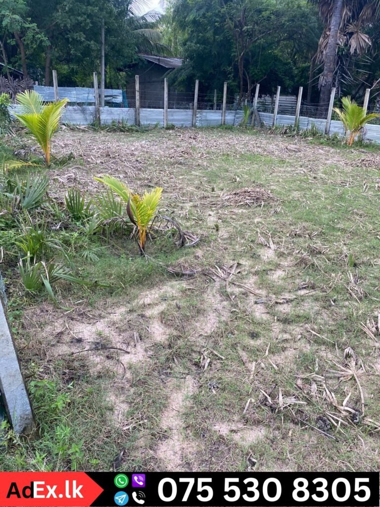 Thiruperunthurai Land Sale