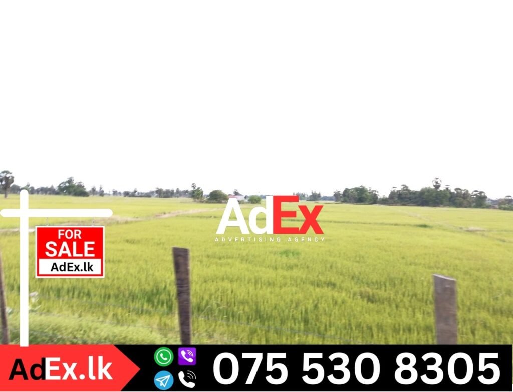 Agricultural Land for Sale Batticaloa
