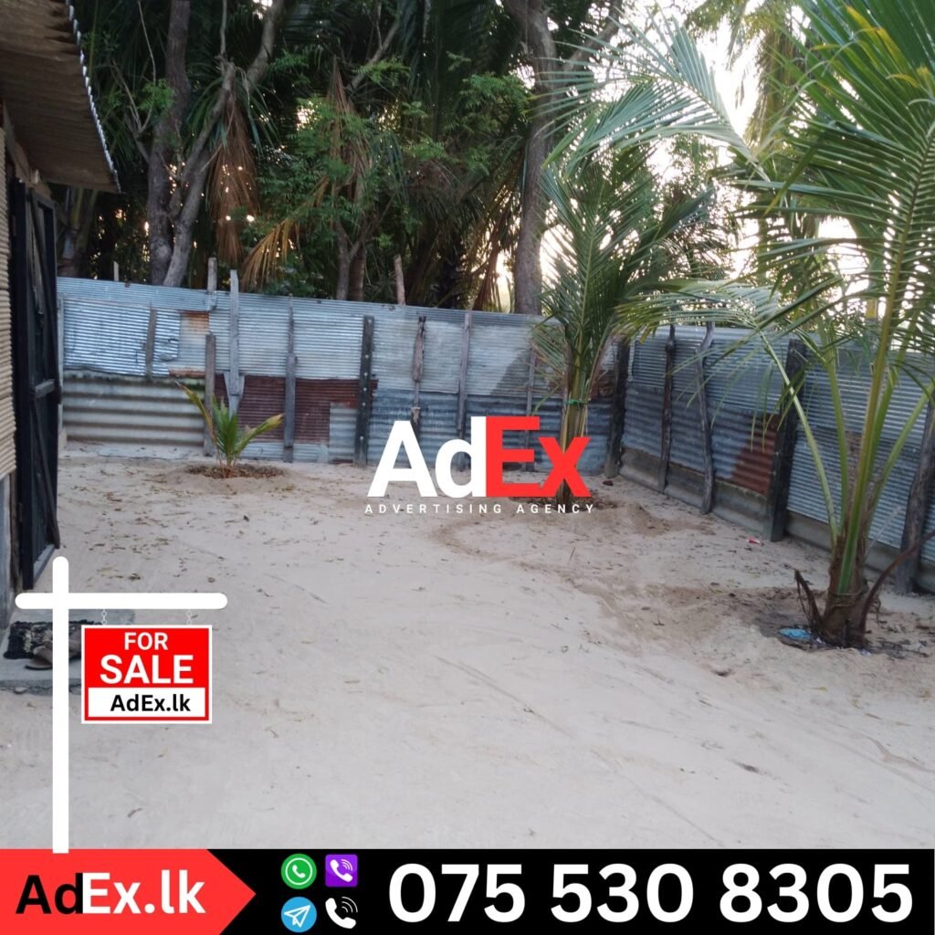 Batticaloa Thiruperunthurai Land Sale