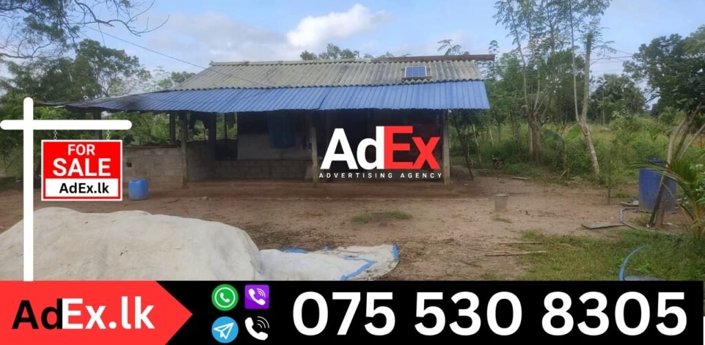 Buy Farm in Batticaloa