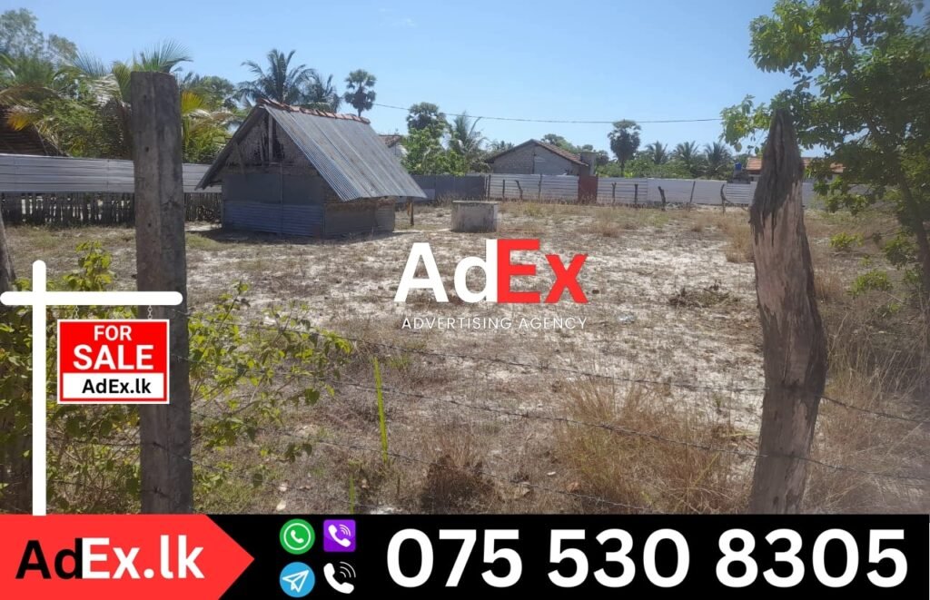 Land Sale Manmunai