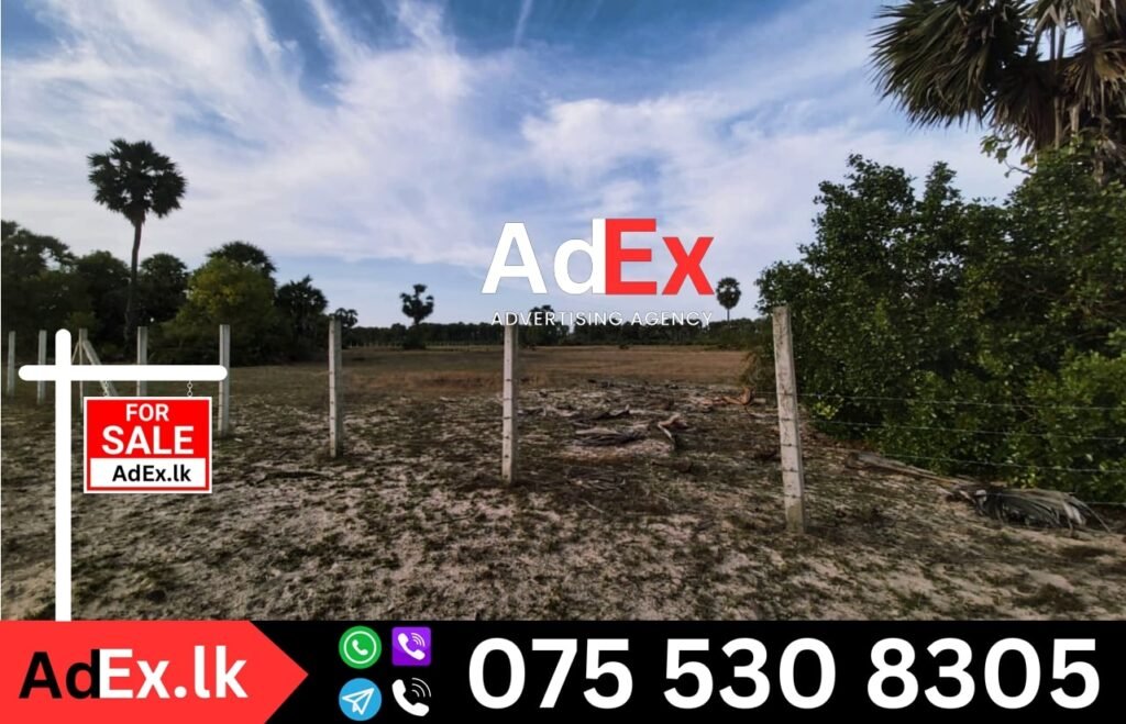 Land Sale in Thannamunai Batticaloa
