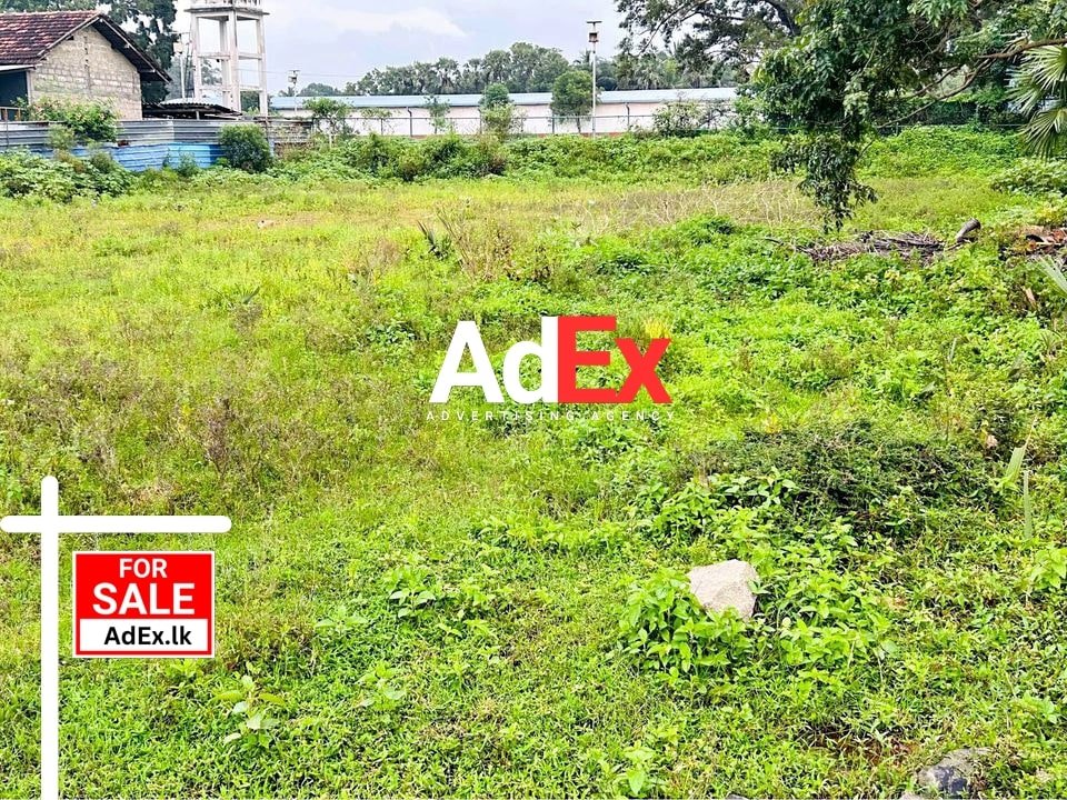 Land for Sale in Kilinochchi Town