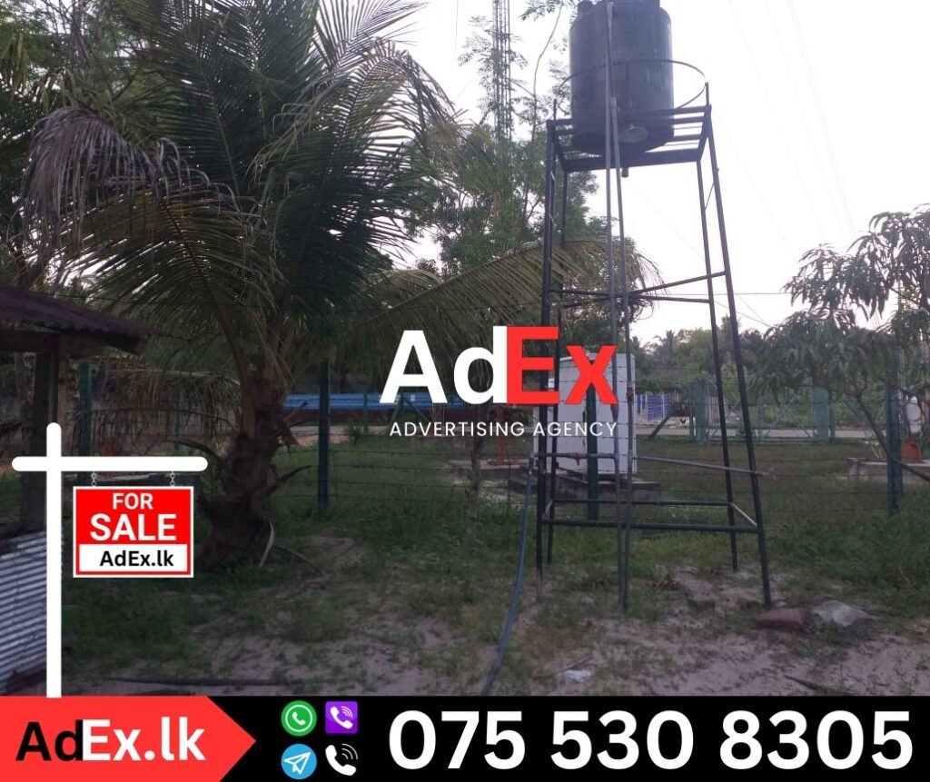 Land for Sale in Mylampavely Batticaloa (Tower Land)