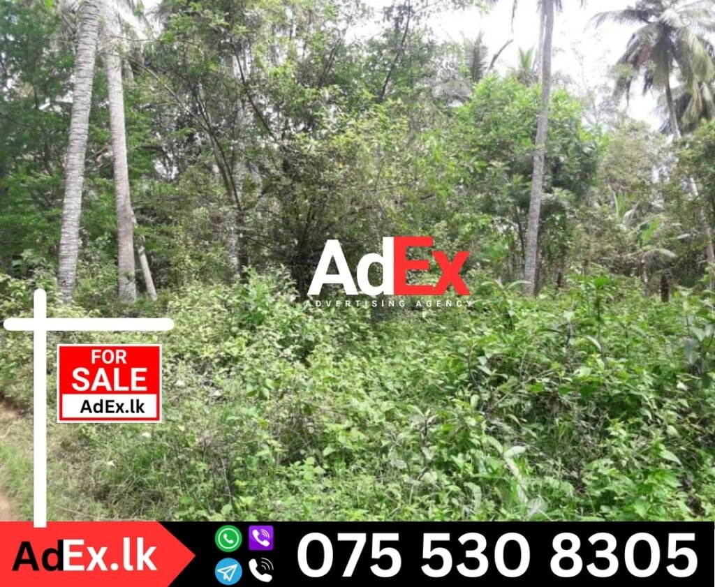 Anuradhapura Land Sale