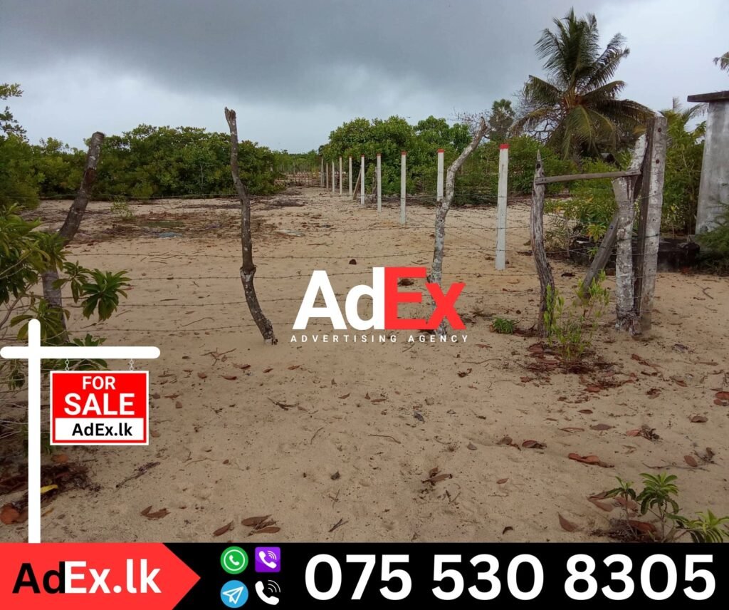 Koralankeni Lans for Sale