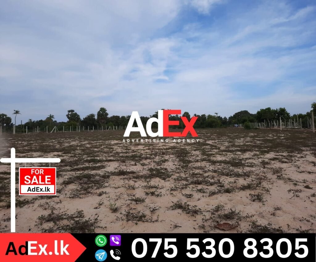 Land Sale Punnakuda