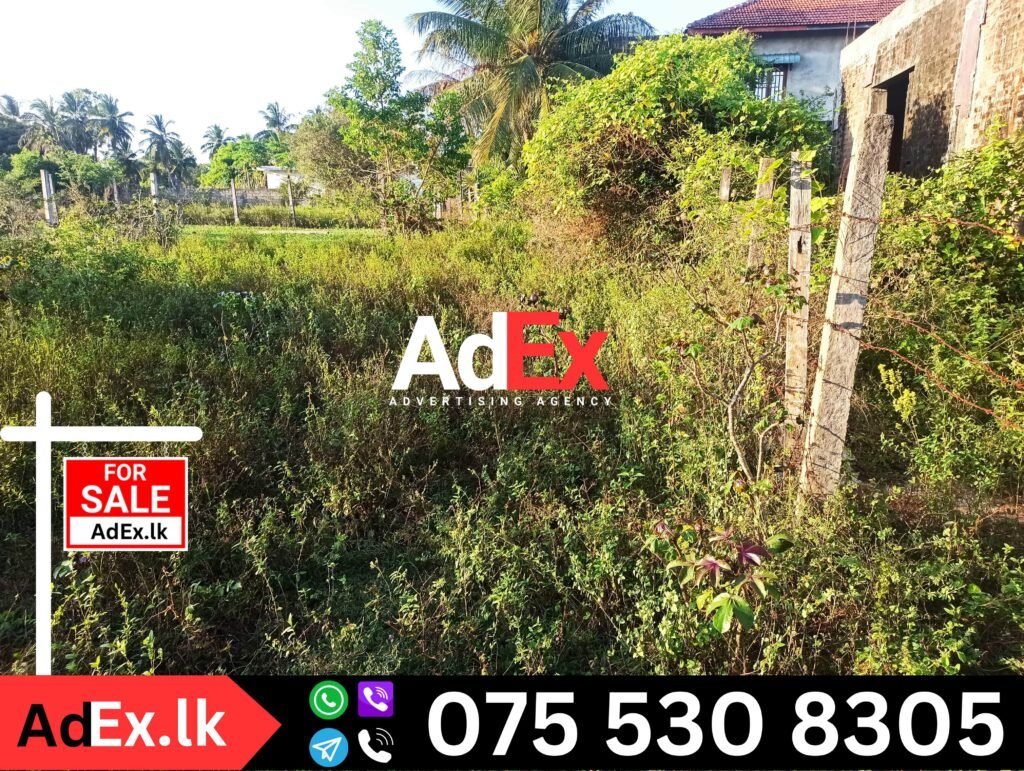 Land for Sale in Trinco Road Batticaloa