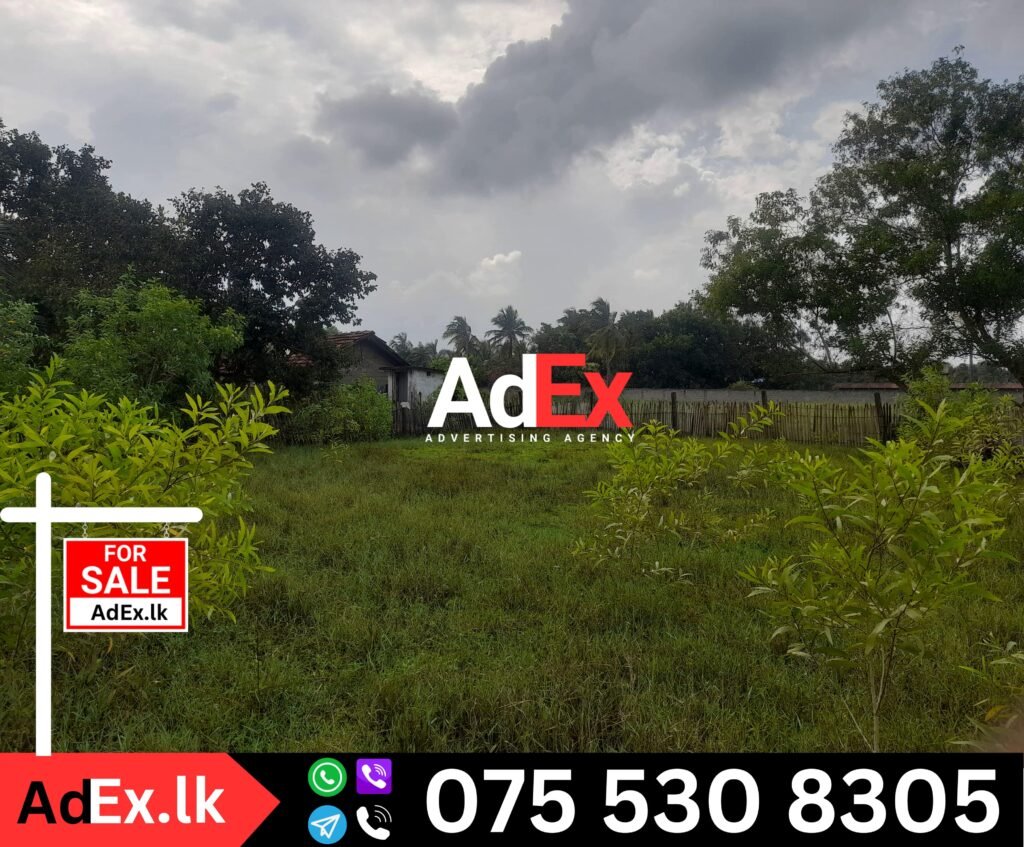 Mylampavely Land for Sale