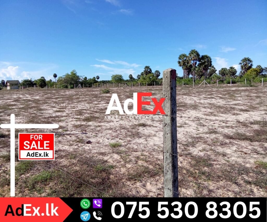 Punnakuda Land Sale