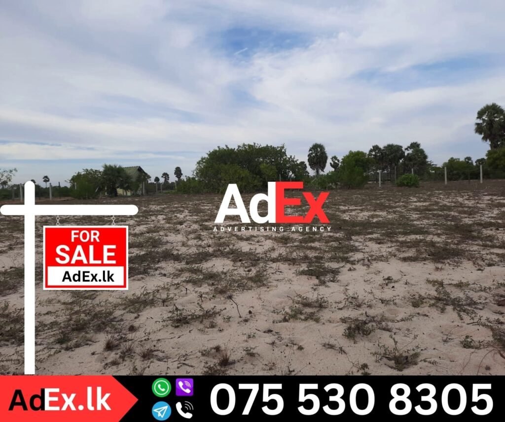 Thalavai Batticaloa Land Sale