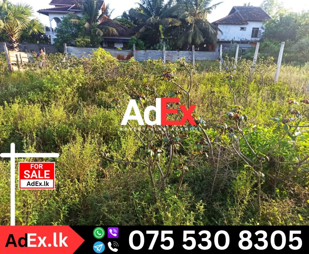 Trinco Road Batticaloa Land Sale