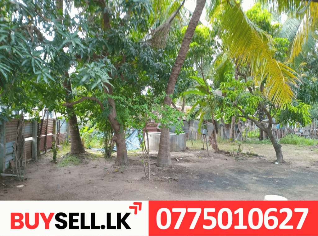 Batticaloa Land Sale