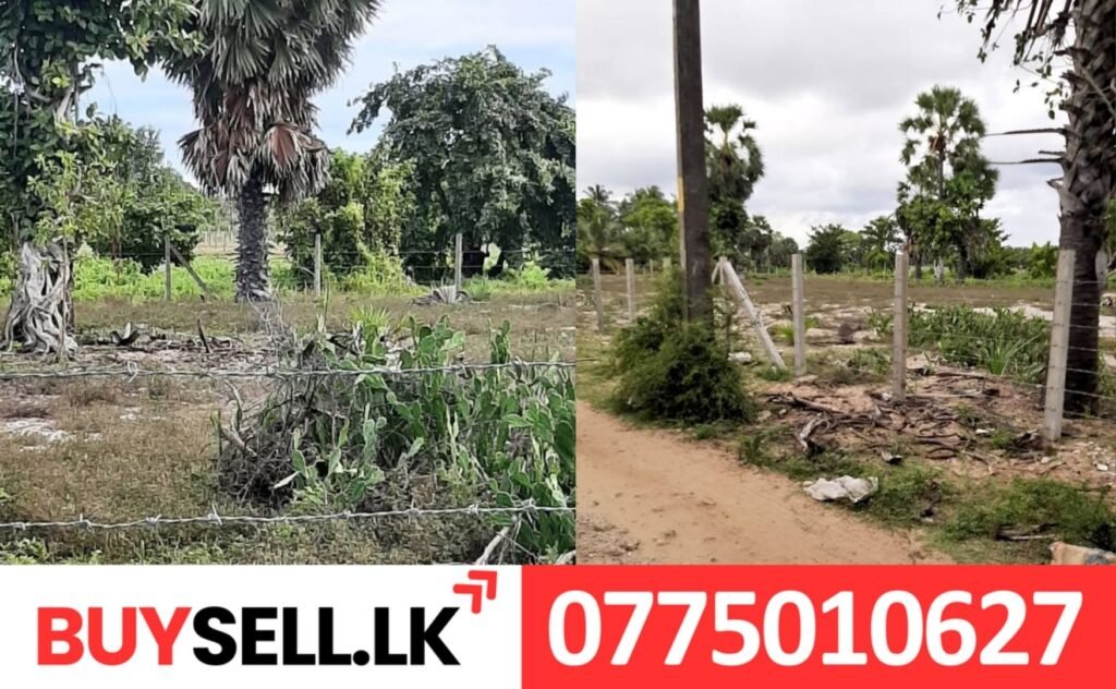 Batticaloa Chaththurukondan Land Sale