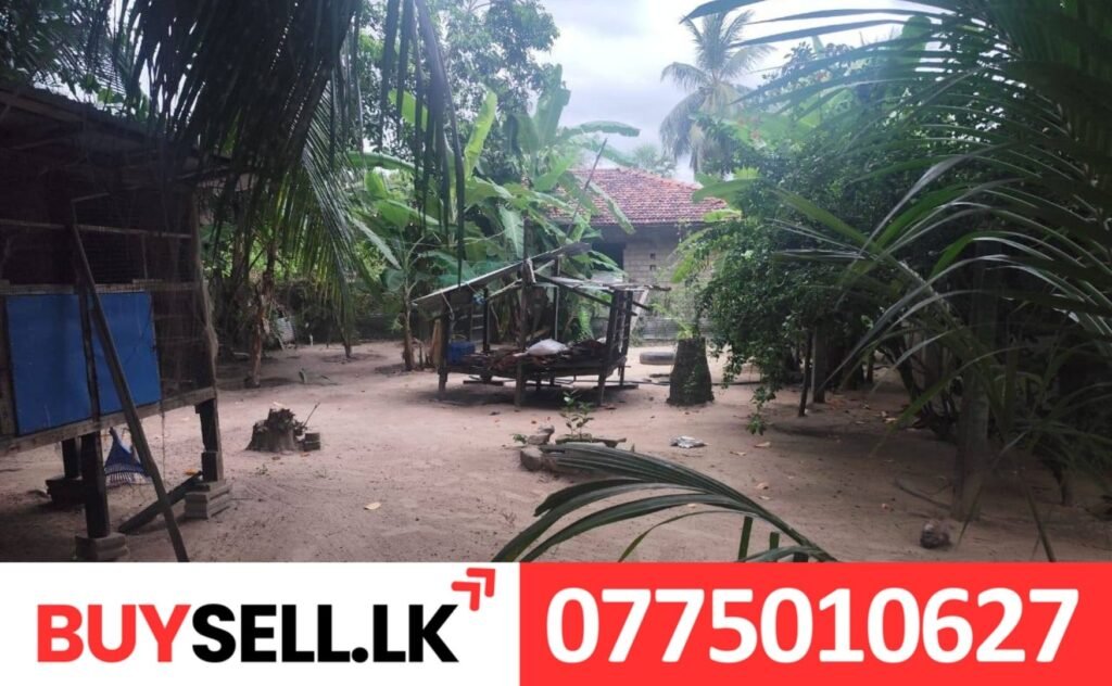 House for Sale in Thiruperunthurai Batticaloa