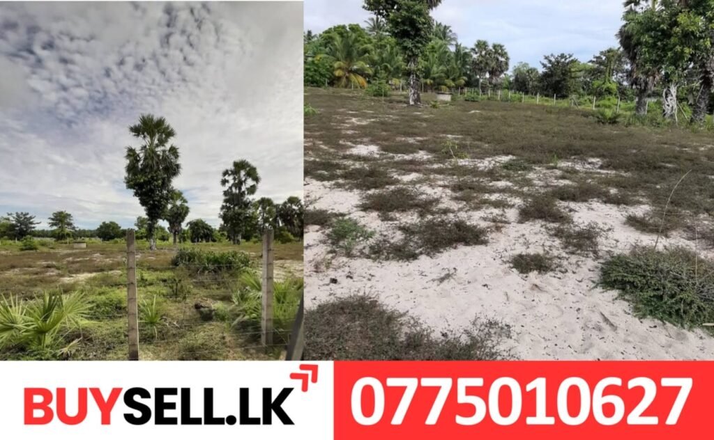 Land Sale in Sathrukondaan Batti