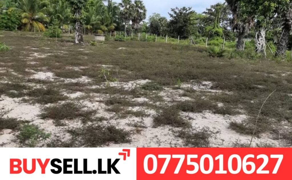 Land for Sale in Chathrukondan