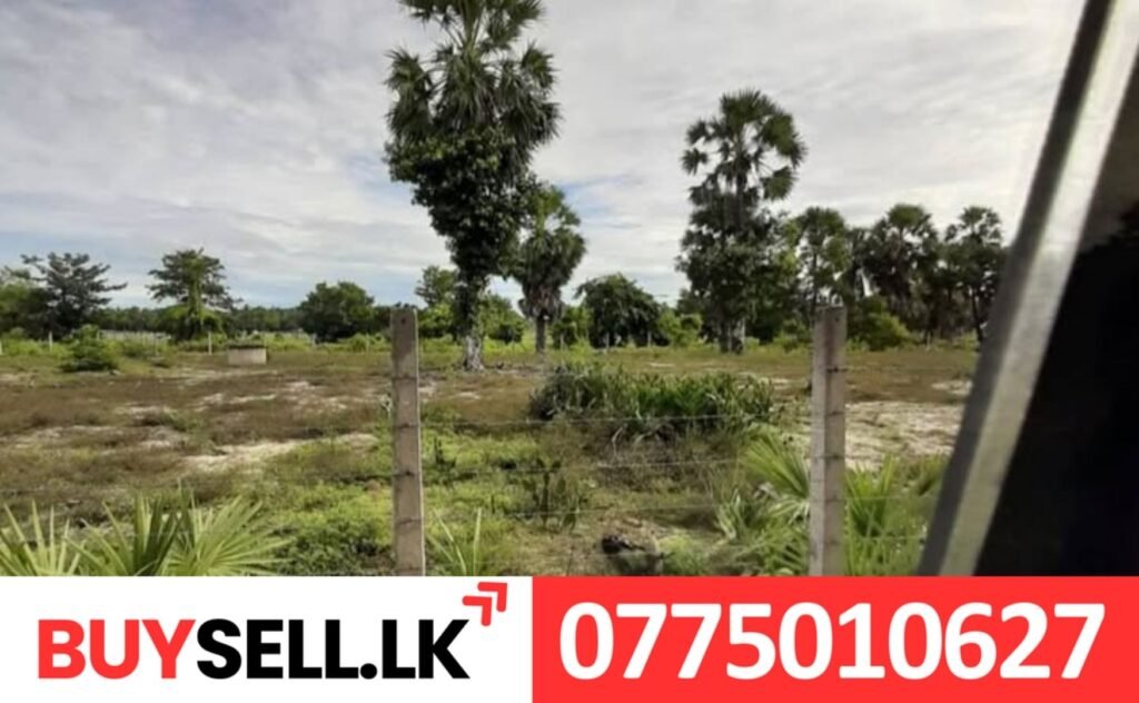 Land for Sale in Saththurukondan