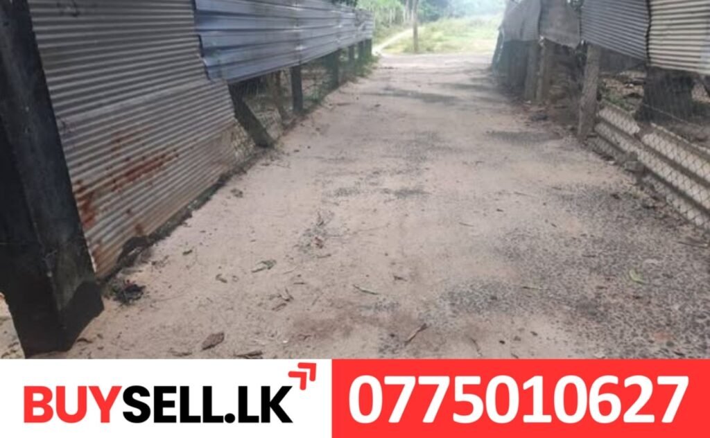 Land for Sale in Thirupperundhurai Batticaloa