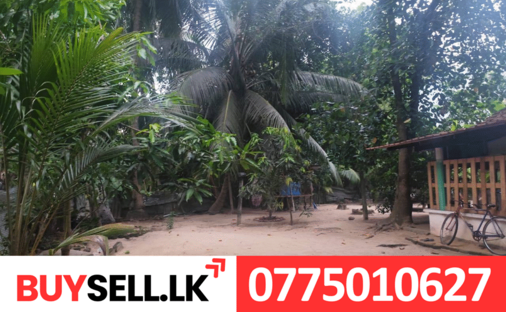 Thiruperunthurai Land for Sale with House