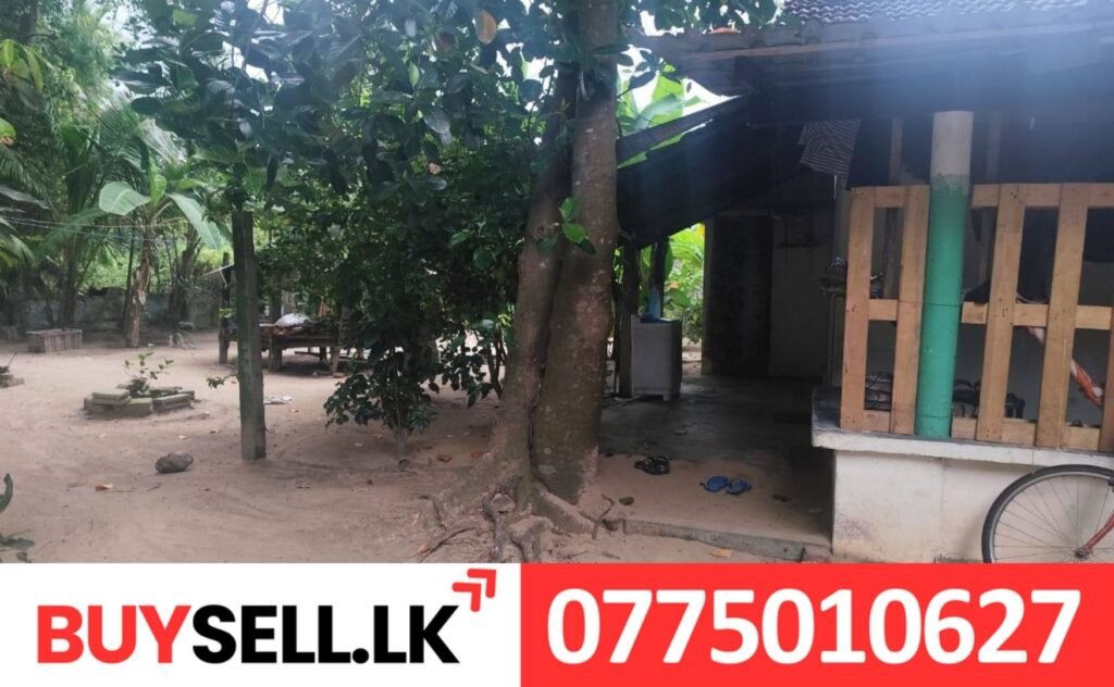 Thirupperunthurai Land for Sale in Batti