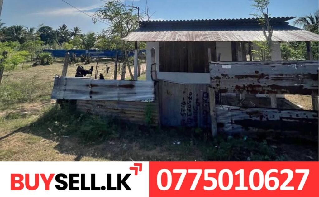 Ondachimadam Land with Shop Sale