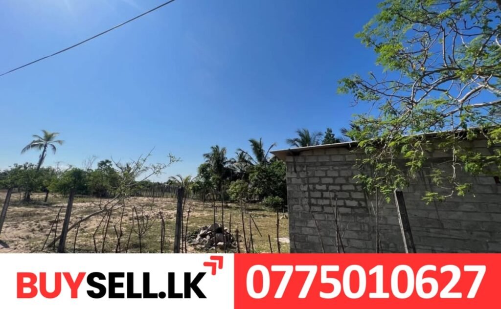 Land sale in Onthachchimadam