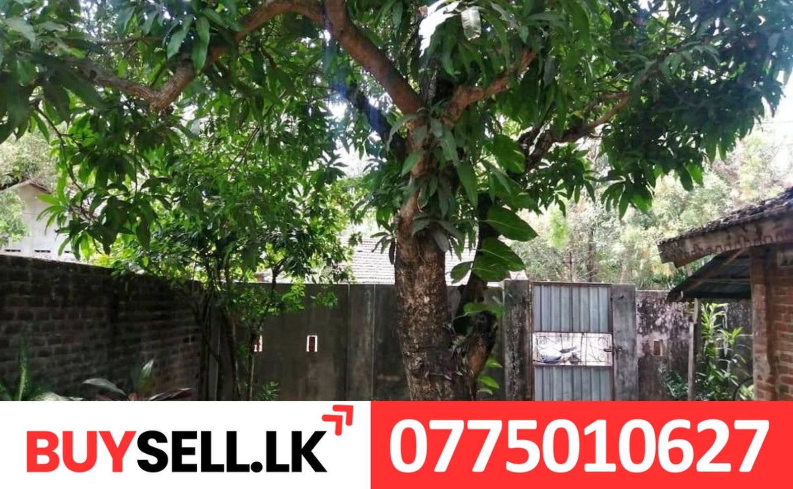 Valaichenay Deed Land Sale