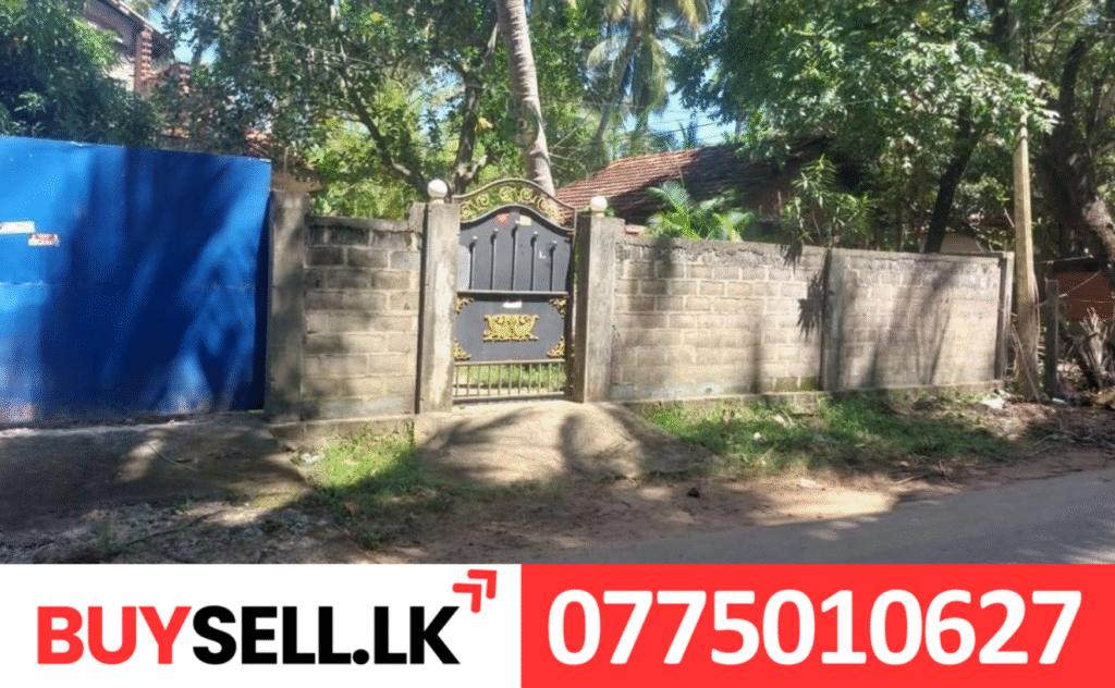 House in naavaldi near to Mamangam for Sale