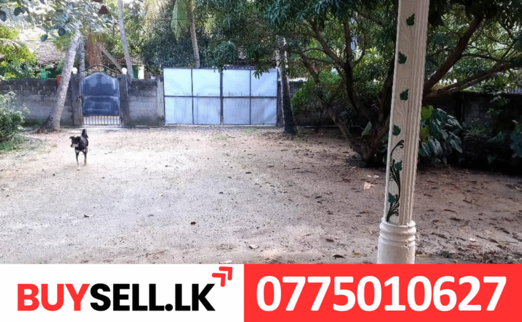 House near to Mamangam for Sale