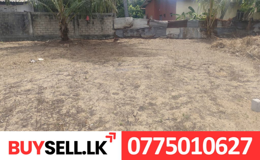Land for Sale in Kalladi near to Main Road