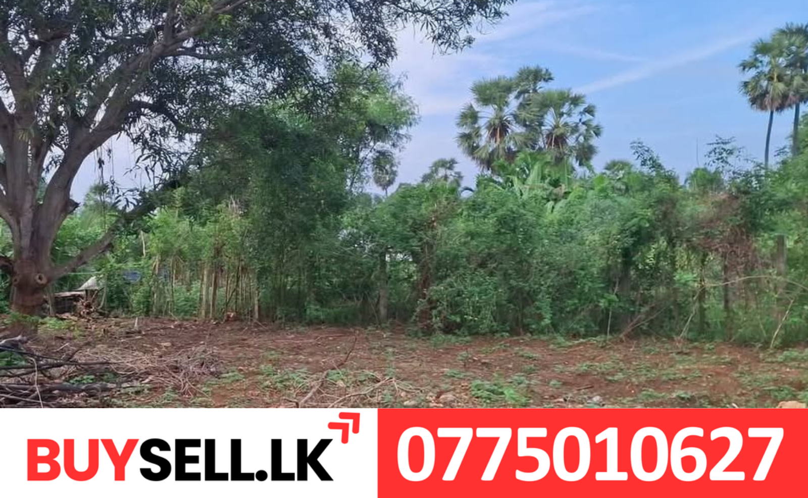 Land for Sale in Kankesanthurai