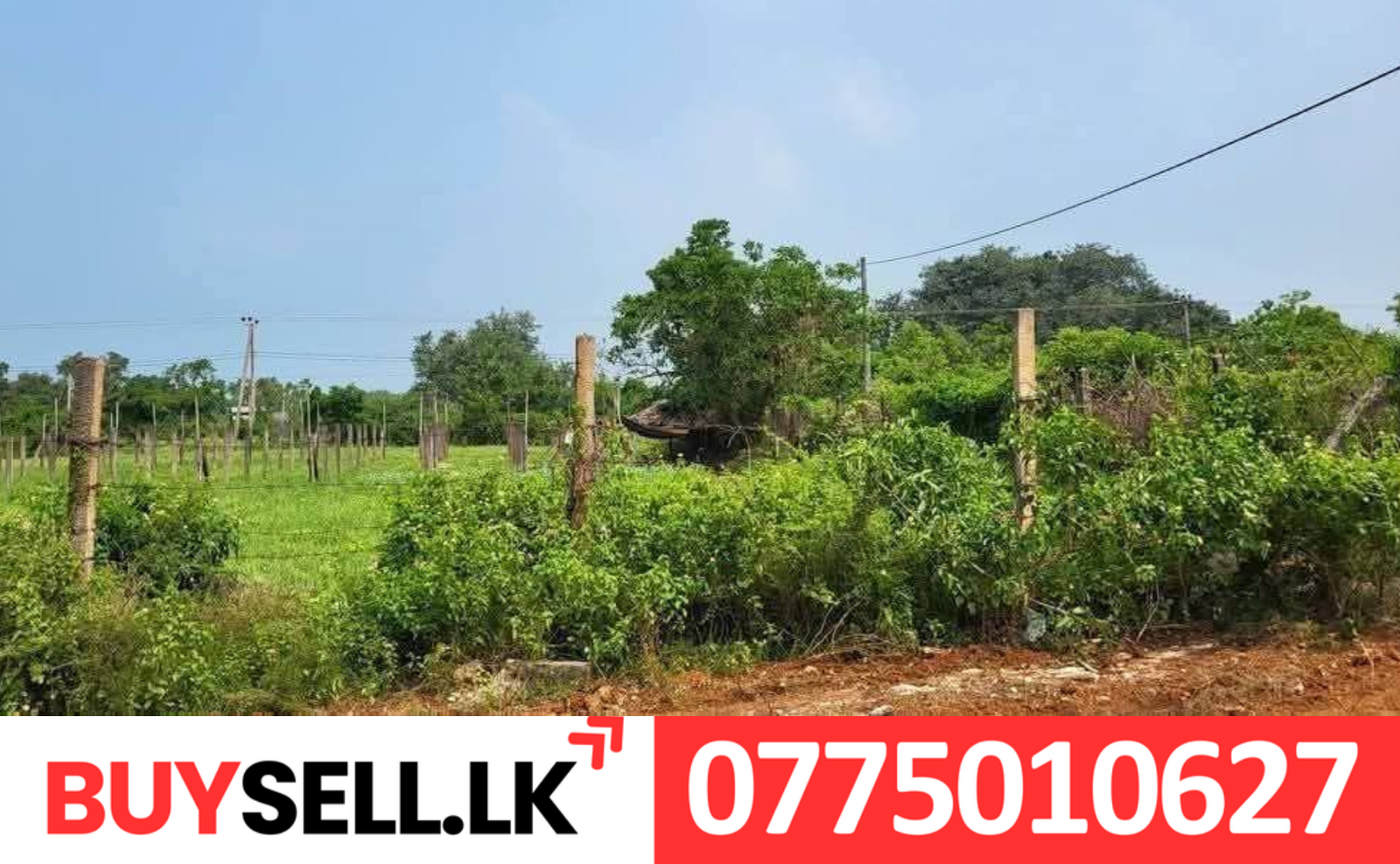 Land for Sale in Maviddapuram