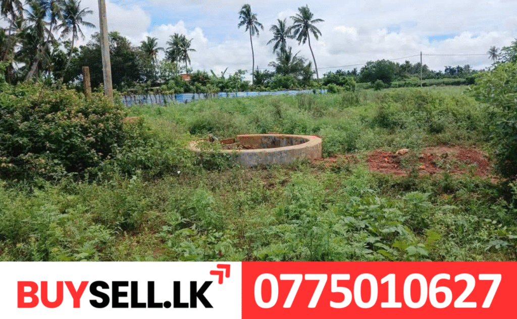 Land for Sale in Urumpirai near to Palali Road