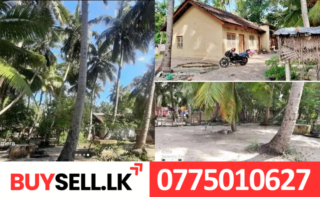 Land with House for Sale in Batticaloa Mailambavely