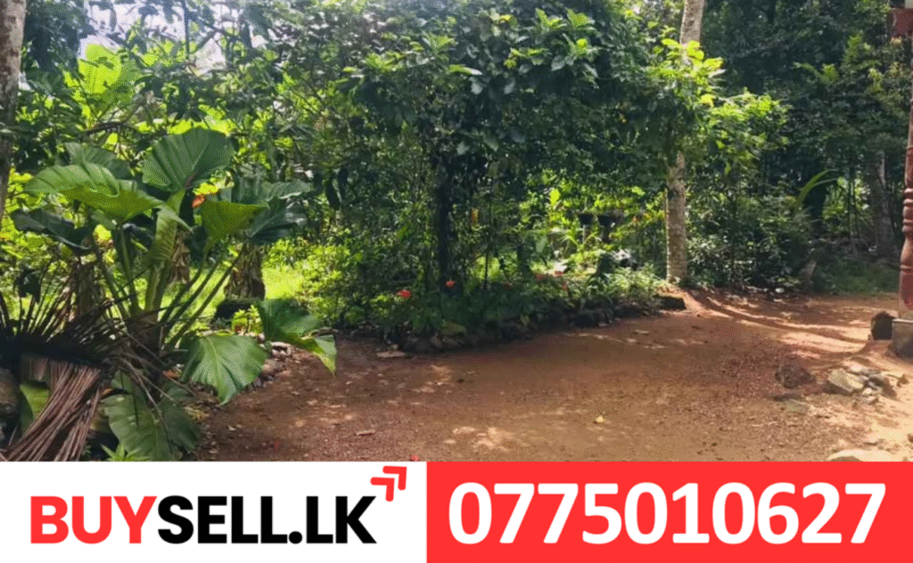 Land with House for Sale in Urapola Gampaha